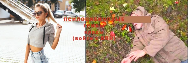 мяу мяу мука Арсеньев